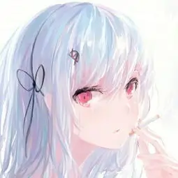 用户 京都的猫 的头像
